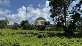 Land for sale in Baracatan, Davao del Sur