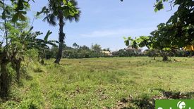 Land for sale in Jubay, Cebu