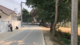 Land for sale in Tha Wang Tan, Chiang Mai