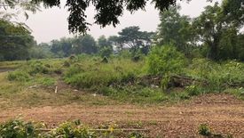 Land for sale in Tha Wang Tan, Chiang Mai