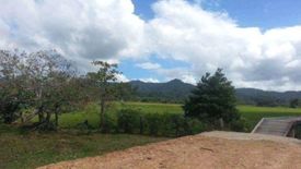 Land for sale in Dumarao, Palawan