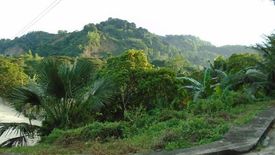 Land for sale in Pulangbato, Cebu