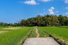 Tanah disewa dengan  di Kediri, Bali
