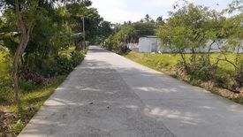 Land for sale in Poblacion III, Cebu