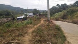 Land for sale in Talamban, Cebu