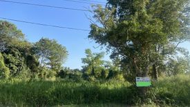 Land for sale in Summit Green Valley, Mae Sa, Chiang Mai