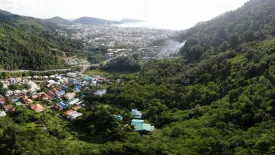 ขายที่ดิน ใน ป่าตอง, กะทู้