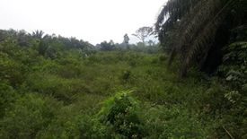 Land for sale in Kampung Paroi, Negeri Sembilan