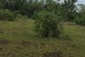 Land for sale in Lourdes, Bohol