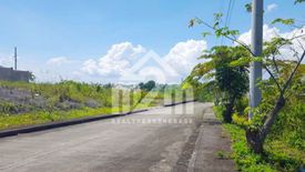 Land for sale in Bagalnga, Cebu