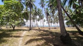 Land for sale in Concepcion, Palawan