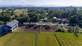 Land for sale in Sa-nga Ban, Chiang Mai