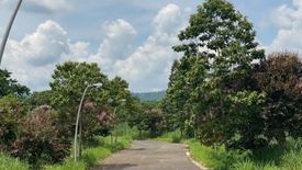 Land for sale in Santo Domingo, Laguna