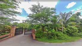 Land for sale in Long Phuoc, Ho Chi Minh