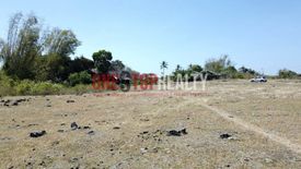 Land for sale in Lotuban, Negros Oriental