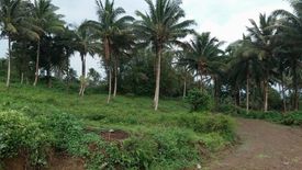 Land for sale in Calangag, Negros Oriental