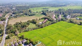 ขายที่ดิน ใน ห้วยทราย, สันกำแพง