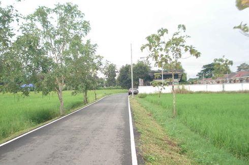Land for sale in San Na Meng, Chiang Mai