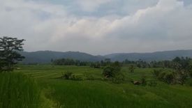 Tanah dijual dengan  di Anjun, Jawa Barat