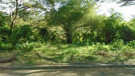 Land for sale in Pulangbato, Cebu