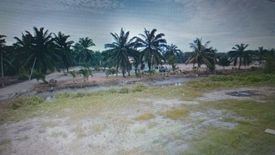 Land for sale in Bandar Puncak Alam (Phase 1 - 4), Selangor