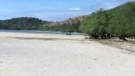 Land for sale in Cabugao, Palawan