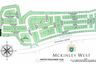 Land for sale in McKinley Hill, Metro Manila