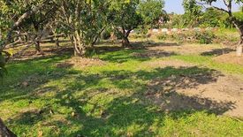 Land for sale in San Sai Noi, Chiang Mai