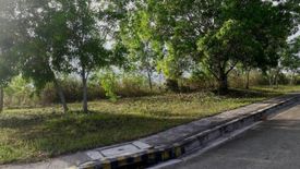 Land for sale in Lawaan I, Cebu