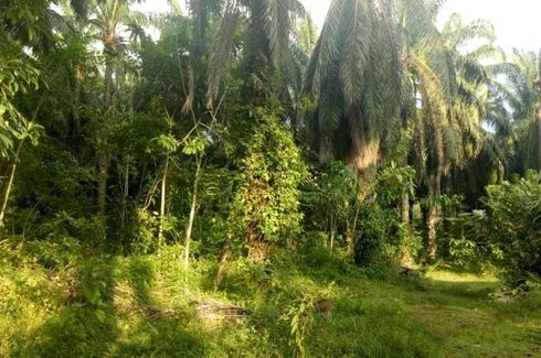 Land for sale in Dungun, Terengganu