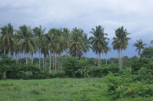 Land for sale in Sabang, Laguna