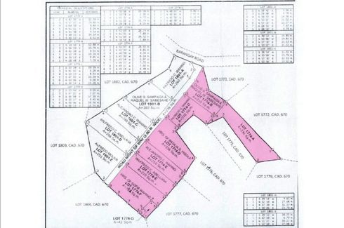 Land for sale in Dapitan, Cebu