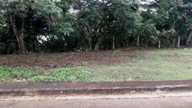 Land for sale in Pulangbato, Cebu