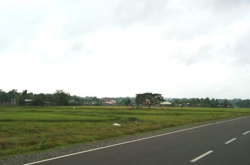 Land for sale in Calawagan, Iloilo