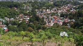 Land for sale in Buhisan, Cebu