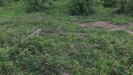 Land for sale in Nakhon Chedi, Lamphun