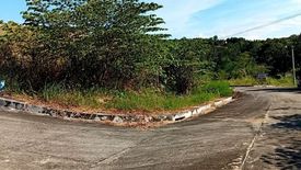 Land for sale in San Roque, Cebu