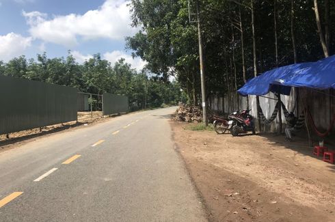 Land for sale in An Nhon Tay, Ho Chi Minh