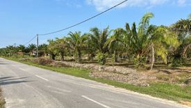 Land for sale in Tanjung Karang, Selangor