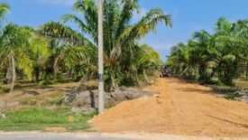 Land for sale in Tanjung Karang, Selangor