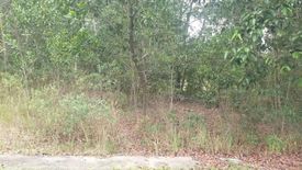 Land for sale in Beranang, Selangor