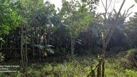 Land for sale in Danao, Bohol