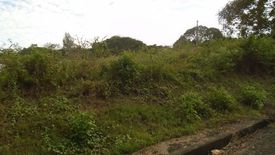 Land for sale in Pulangbato, Cebu