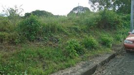 Land for sale in Pulangbato, Cebu