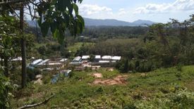 Land for sale in Choeng Thale, Phuket