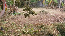 Land for sale in Wichit, Phuket