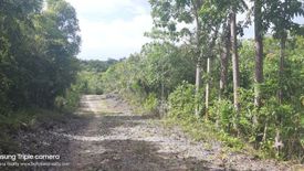 Land for sale in Payahan, Bohol