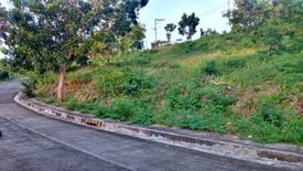 Land for sale in Dumlog, Cebu