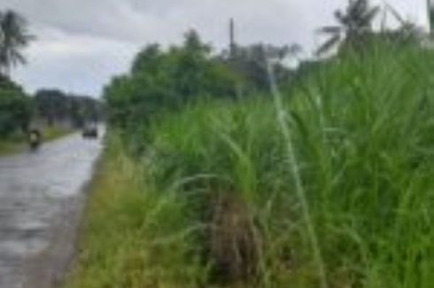 Land for sale in Camanjac, Negros Oriental