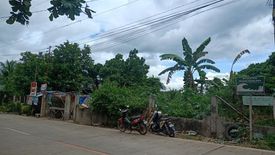 Land for sale in Manga, Bohol